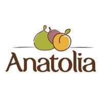 Anatolia Gıda Ürünleri Kemalpaşa / İzmir